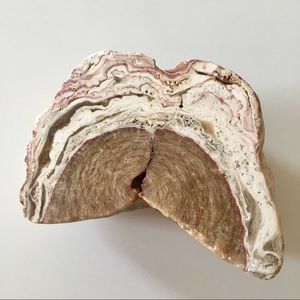 CALCITE BLADES SMOKY QUARTZ AGATE geode 843 grams